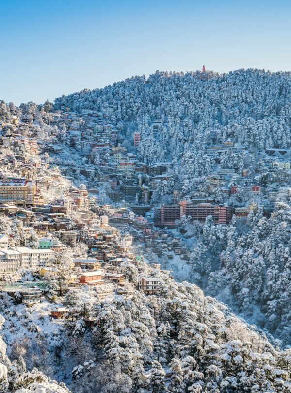 SHIMLA LOCALSIGHT SEEING