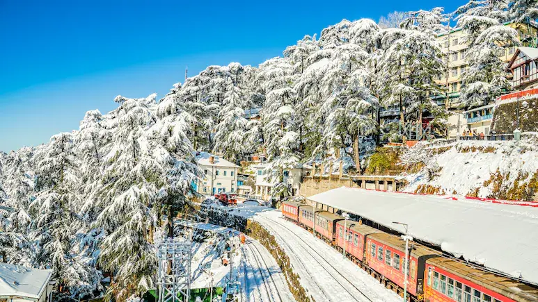 shimla-makeselftrip